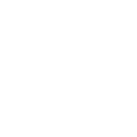 flag graphic